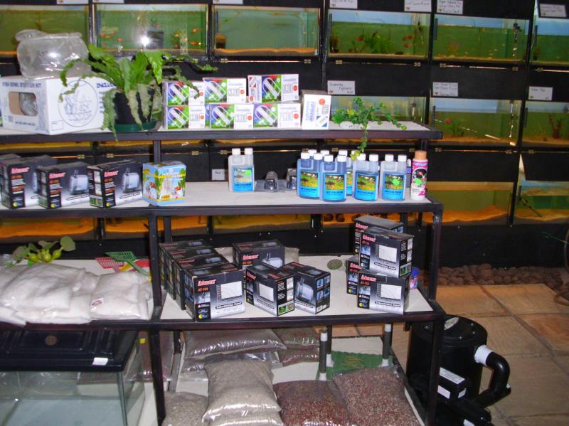 petshop_ftos_05718649.JPG