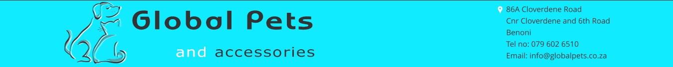 Spider Spiderlings Live Stock Global Pets Accessories